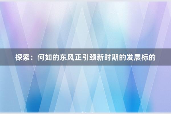 探索：何如的东风正引颈新时期的发展标的